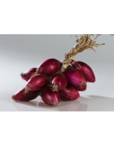 La treccia di Cipolla Rossa tardiva di Tropea - galluccio prodotti tipici calabresi 2